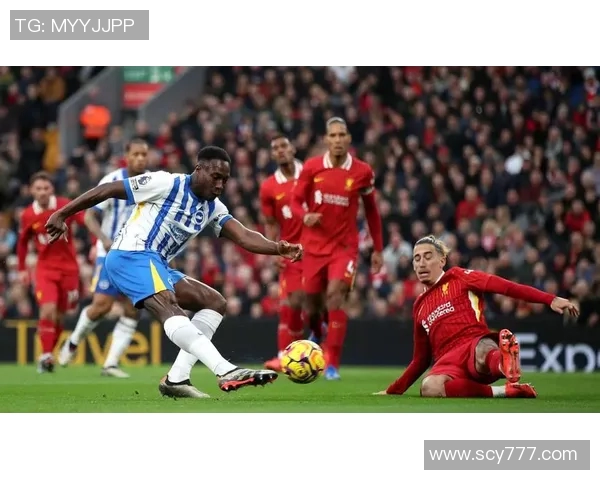 2018年布莱顿对阵利物浦比赛推荐及精彩分析